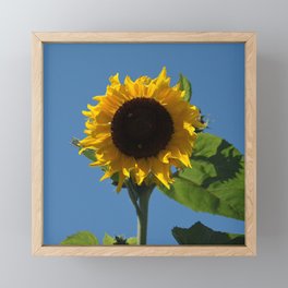 Sunflower for Ukraine - 50% of Profits to Charity Framed Mini Art Print