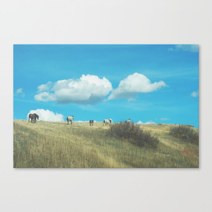 Wild Horses in the Badlands Canvas Print