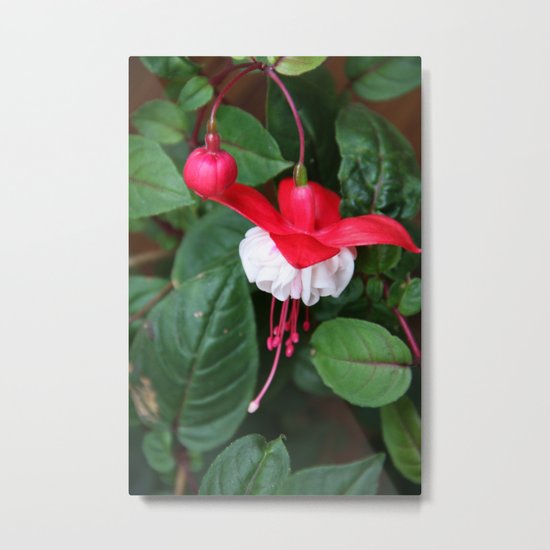 Fuchsia and greens Metal Print