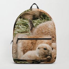 A Family of Groundhogs Backpack | Flowers, Sweet, Dreamy, Vegan, Family, Hug, Eating, Botanical, Photo, Love 