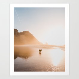 Husky at the beach during sunset | Atlantic Ocean Portugal | Nature Travel Photography Art Print