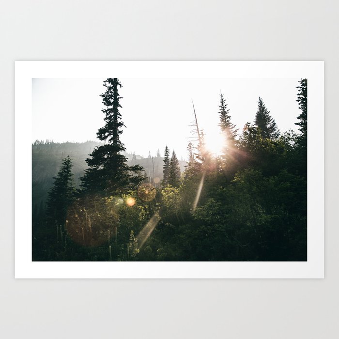 Sunny Forest  Art Print