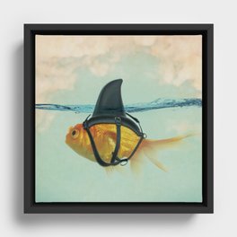 Brilliant DISGUISE - Goldfish with a Shark Fin Framed Canvas