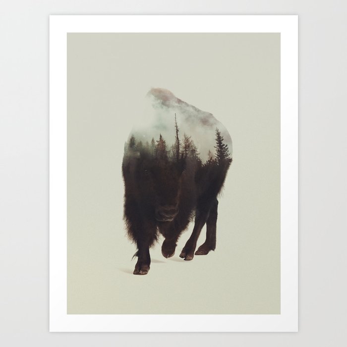 Discover the motif NIGHT BISON by Andreas Lie as a print at TOPPOSTER