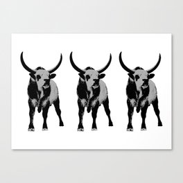 Bulls op art Canvas Print