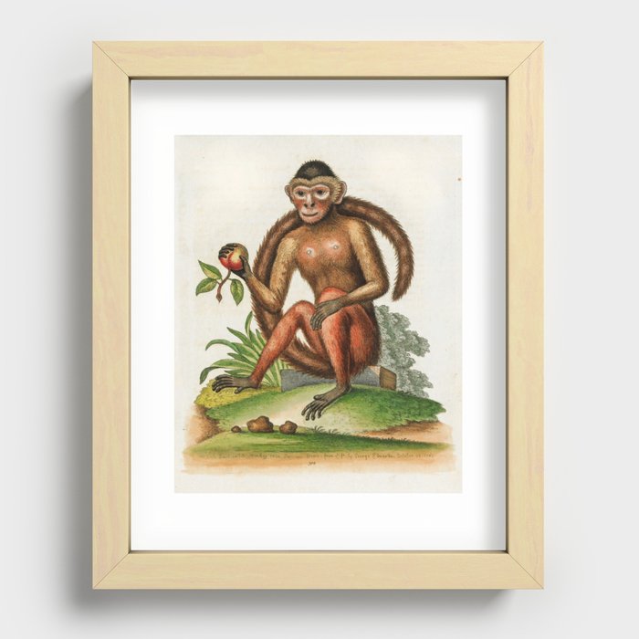 Recessed Framed Print