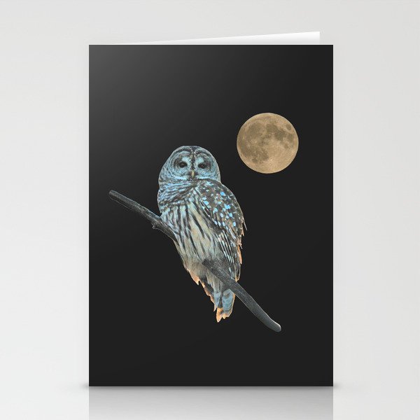 Owl, See the Moon: Barred Owl Stationery Cards