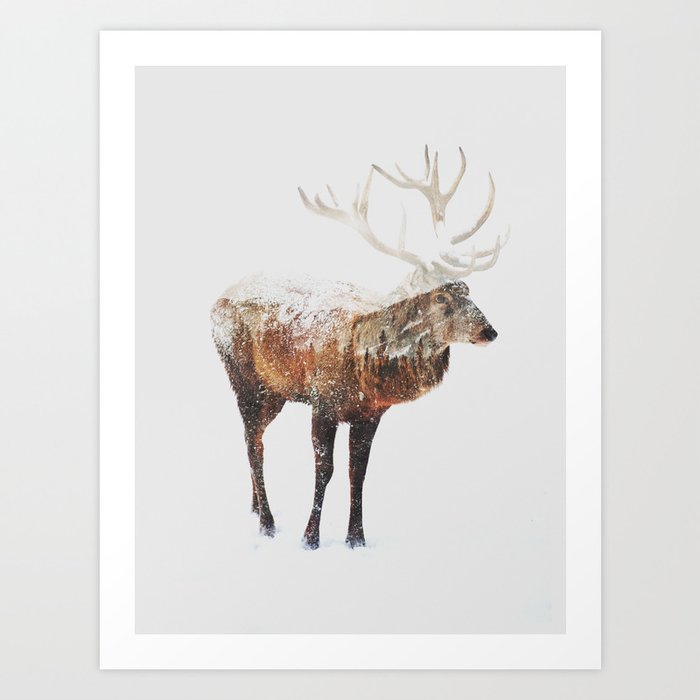 Arctic Deer Art Print