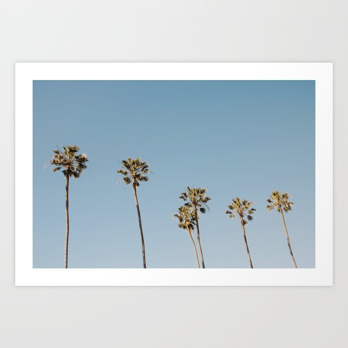 More California / Palm Trees Art Print
