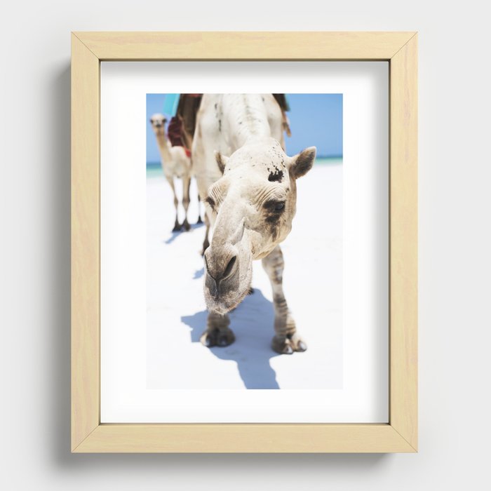 Camel  Recessed Framed Print
