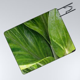 Anthurium Leaves Close Up Photography  Picnic Blanket