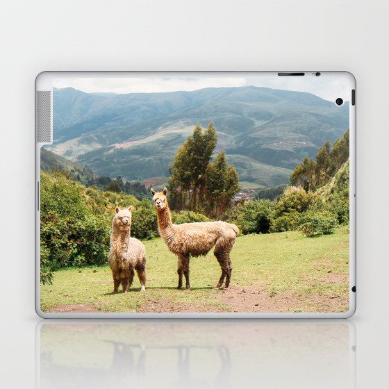 Llama Party Laptop & iPad Skin