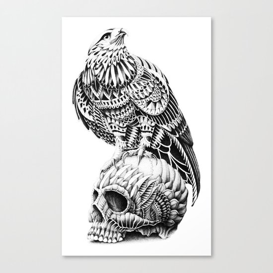 Red-Tail Skull Canvas Print