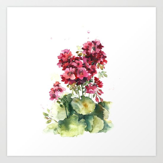 Watercolor geranium flowers Art Print