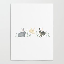 Bunnies and Purple Clover Poster