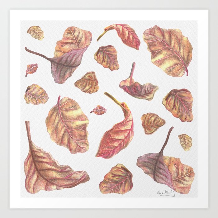 Falling Autumn Leaves Colored Pencil Drawing Autumn Colours Art