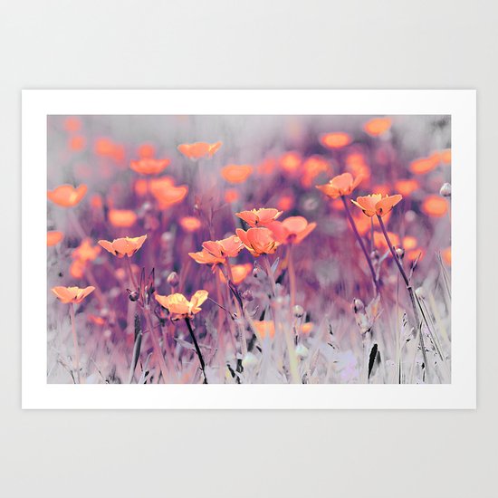 Summer Meadow. Art Print