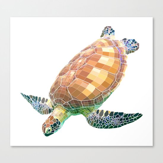 The Green Sea Turtle (Colored) Canvas Print