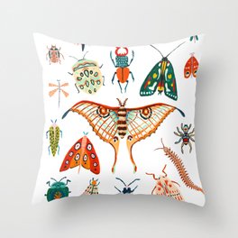 Beetles of the World Throw Pillow
