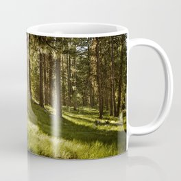 Morning Sun Rays, McCall Idaho Coffee Mug | Mountainlandscape, Idaho, Digital, Photo, Landscape, Woods, Forest, Treelandscape, Color, Woodland 