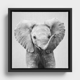 Baby Elephant - Black & White Framed Canvas