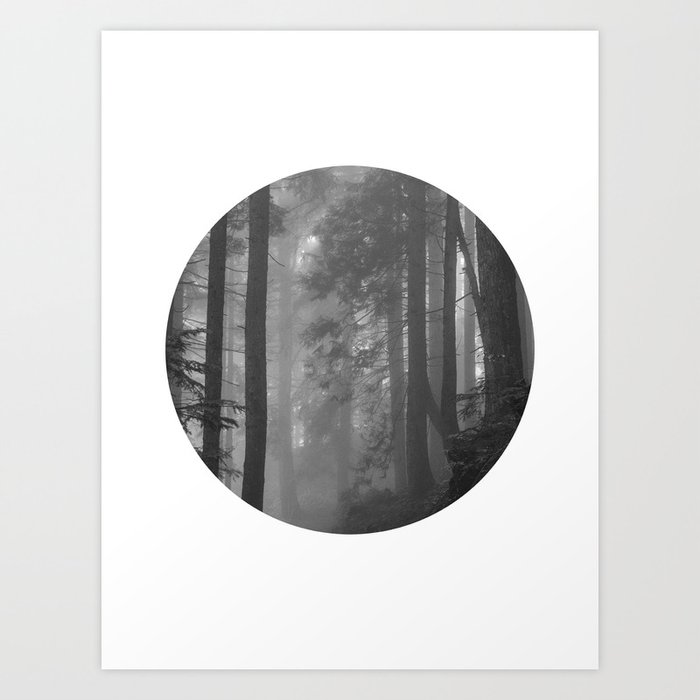 Black and White Circle Art - Foggy Forest  Photography No. 4 Art Print