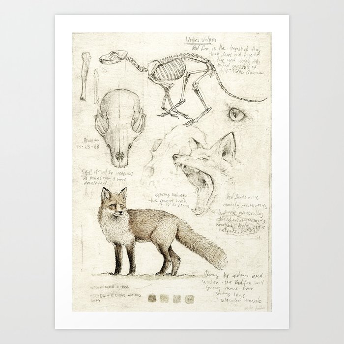 Art Print