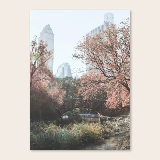 Central Park Canvas Print