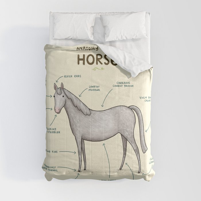 Anatomy of a Horse Comforter