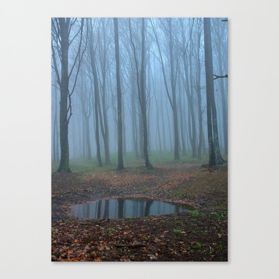 forest Canvas Print