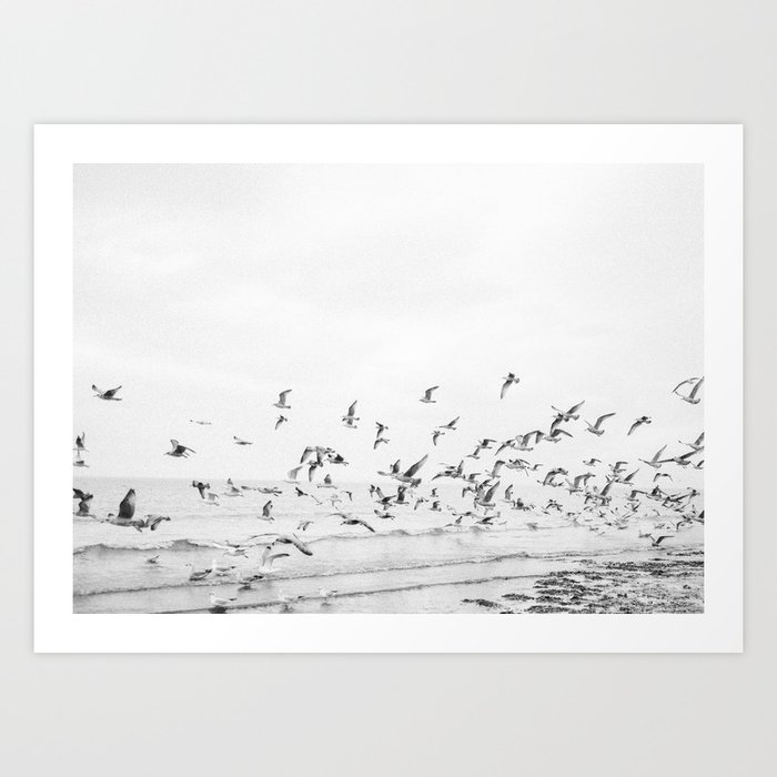 "Seagulls" | Coastal black and white photo | Film photography | Beach Art Print
