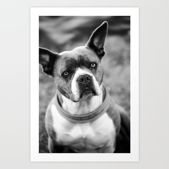 Dogs Art Print
