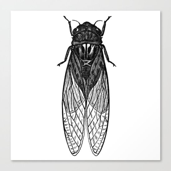 Fly Canvas Print