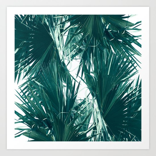 Palm Twist Art Print
