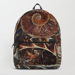 Fossilized Shell Backpack