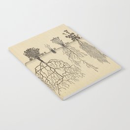 Botanical Roots Notebook