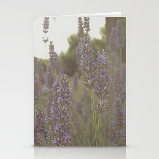 Beez Stationery Cards