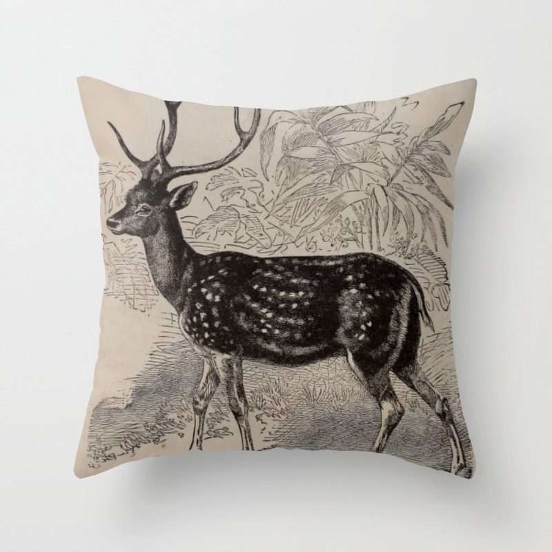 Vintage Natural History Deer Throw Pillow By Bluespecsstudio Society6