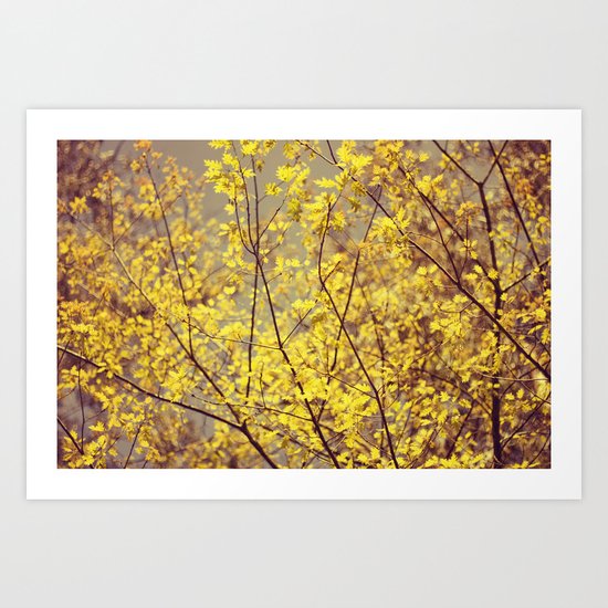 trees yellow leaves Art Print
