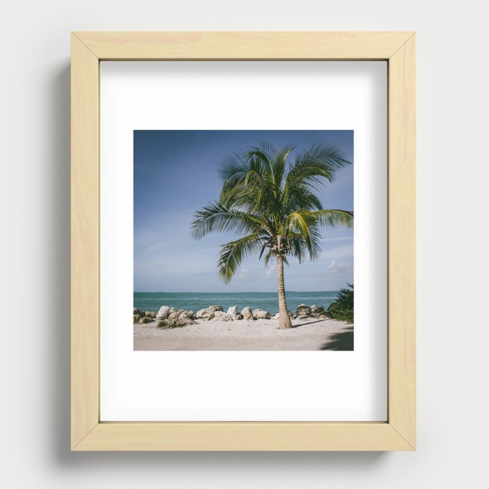 palm tree on the beach Recessed Framed Print
