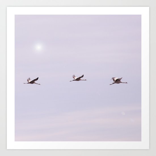 Cranes in Flight Art Print