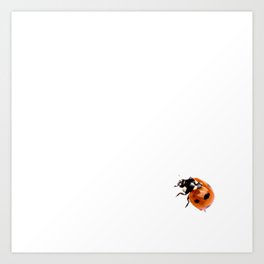 Ladybug on white background #decor #society6 #buyart Art Print