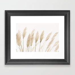 Pampas grass Framed Art Print