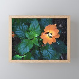 Pretty Flowers 1 Framed Mini Art Print