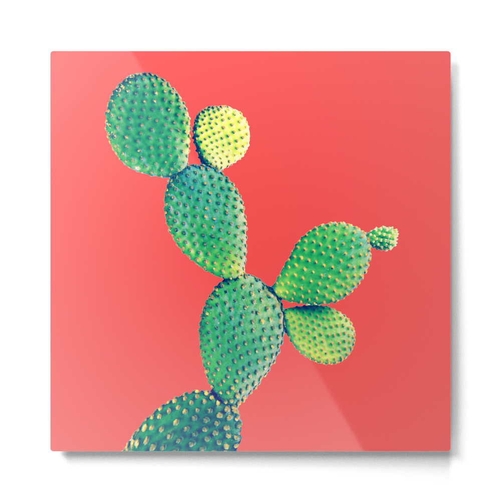 Cactus Metal Print by frulala