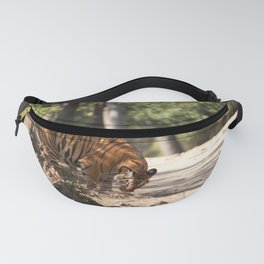 Bengal tiger. Fanny Pack