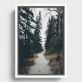 Winter Walk in the Trees Framed Canvas