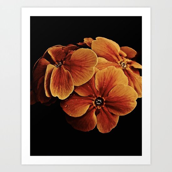 Primrose Posy Art Print