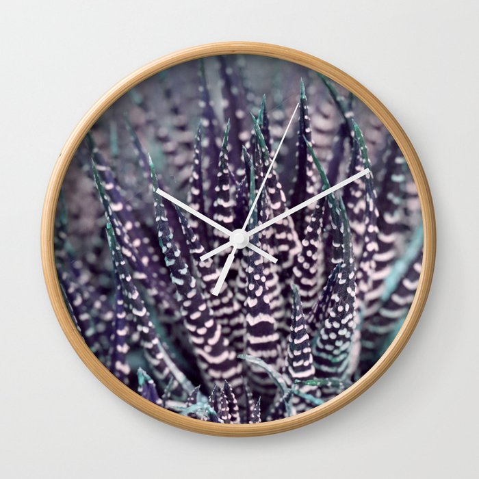 Zebra plant (Haworthia) Wall Clock