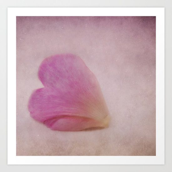 rose petal Art Print